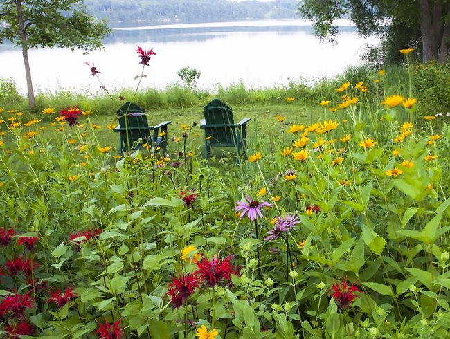 Native Connecticut Meadow Garden | Garden Design