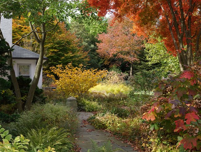 Autumn Garden, Fall Colors
Rick Darke LLC
Landenberg, PA