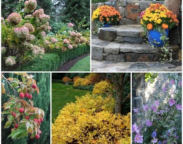 Autumn Garden Jan Johnsen
Garden Design
Calimesa, CA