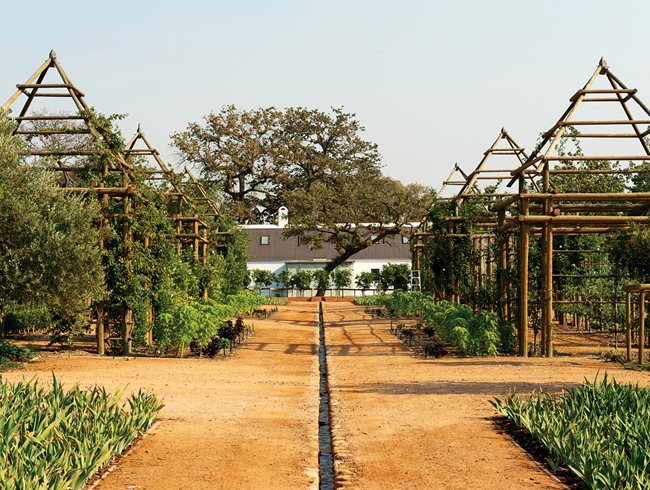 Babylonstoren-3
Garden Design
Calimesa, CA