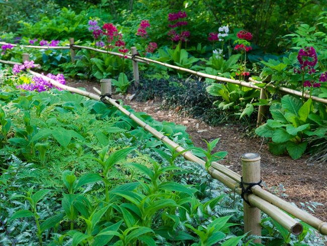 Bamboo Fence, Garden Edging, Asian Garden
Garden Design
Calimesa, CA