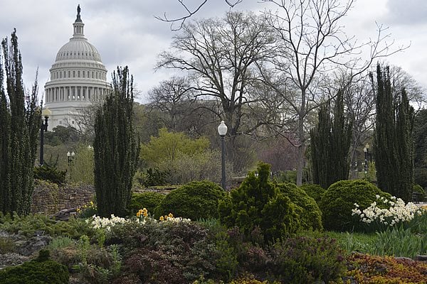 Bartholdi Park With The Capitol Building In The Background
Garden Design
Calimesa, CA