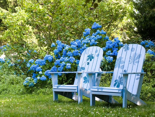 Blue Adirondack Chairs, Blue Hydrangea
Garden Design
Calimesa, CA