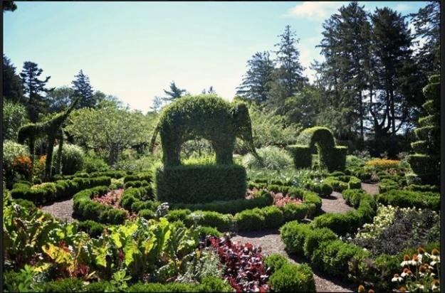 Where is the oldest topiary garden?