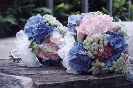 Bouquets Of Hydrangea And Queen Anne's Lace
Garden Design
Calimesa, CA