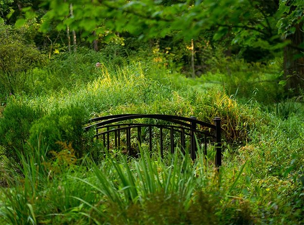 Bridge Over Wetlands
The LaurelRock Company
Wilton, CT