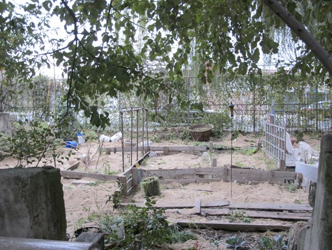 Brooklyn Red Hook Garden
Garden Design
Calimesa, CA