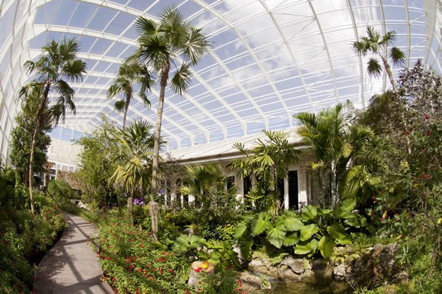 Butterfly Conservatory
Garden Design
Calimesa, CA