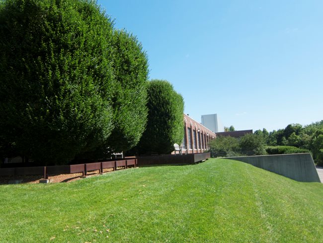 Garden Design Trees robert irwin's gardens at dia:beacon | garden design Garden Design Trees robert irwin's gardens at dia:beacon | garden design