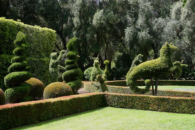 Contained_topiary
Garden Design
Calimesa, CA