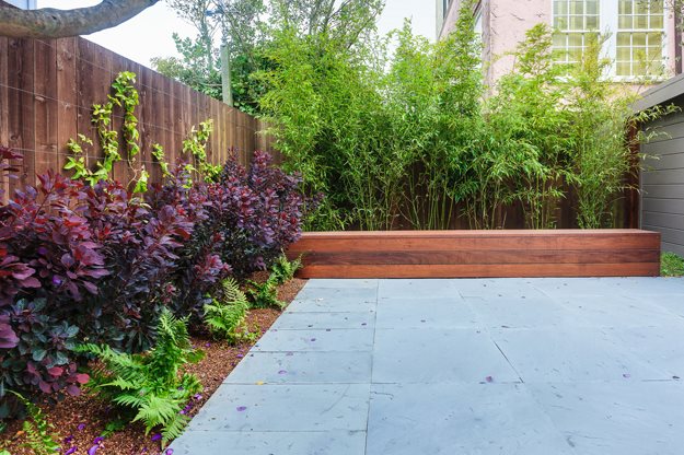 Stylish Savings Garden Design, Ground Cover Landscaping San Francisco California