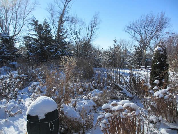 December Garden In Snow
Monarch Gardens
Lincoln, NE