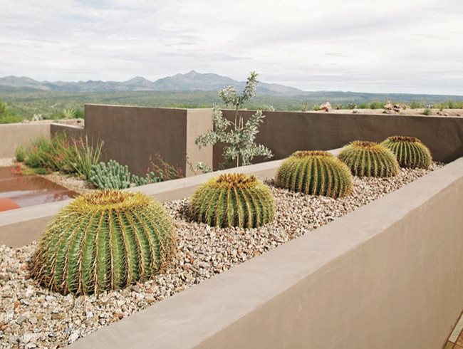 Design Collaborations Ltd.
Tucson, AZ