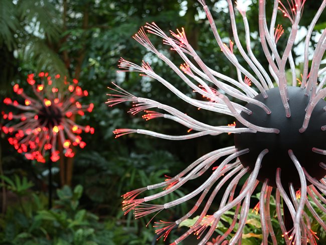 Fiber Optic Flower
Atlanta Botanical Garden
Atlanta, GA