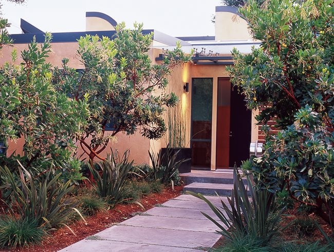 Front Entry Plants, Madrone Trees
Ground Studio
Monterey, CA