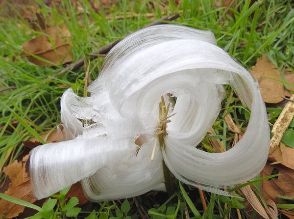 Frost Flowers | Garden Design