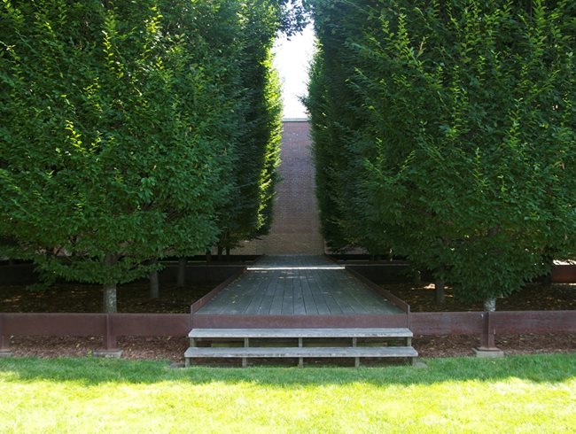 Garden At Dia: Beacon
Garden Design
Calimesa, CA