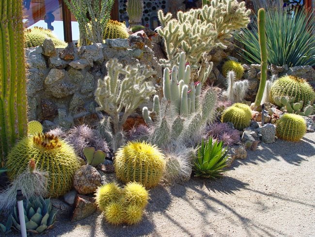 Mojave Rock Ranch Reinvents the Desert Garden | Garden Design