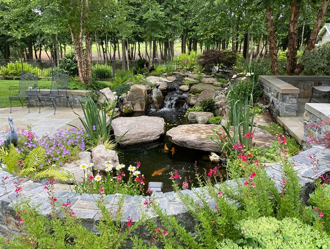 Garden Pond
Morty Bachar / Patty Storms
Lewes, DE