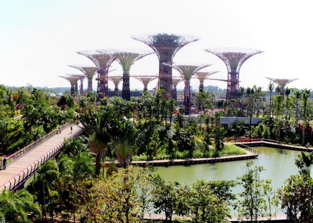 Gardens-By-The-Bay-Supertrees
Garden Design
Calimesa, CA