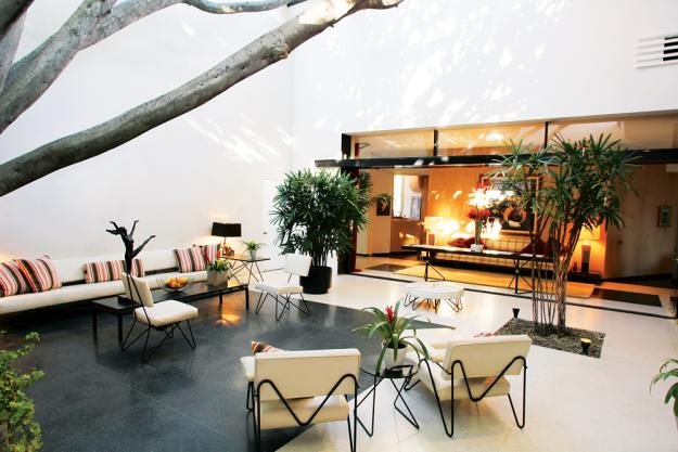 25 and 30 new topiary ideas, great decorative plants to