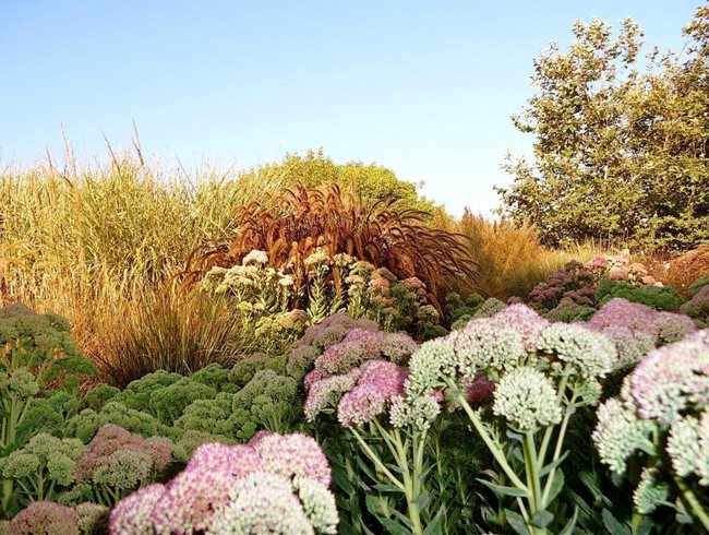 Grasslands Gardens, Seaside Gardens
Seaside Gardens
Carpinteria, CA