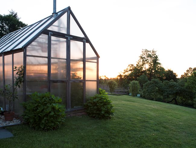 Greenhouse, Garden, Morning, Light
Garden Design
Calimesa, CA