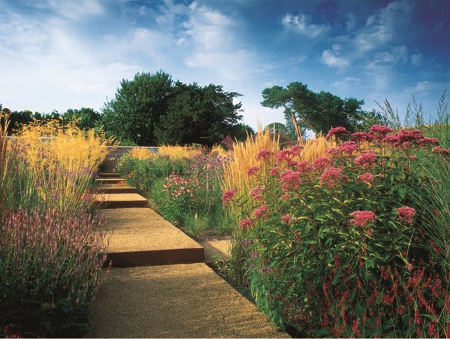 Joe Pye Weed And Persicaria
Garden Design
Calimesa, CA