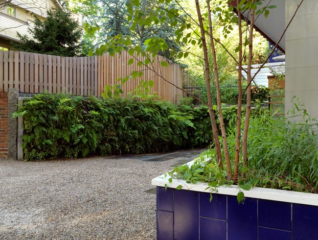 Living Wall, Vertical Garden
Julie Moir Messervy Design Studio
Saxtons River, VT