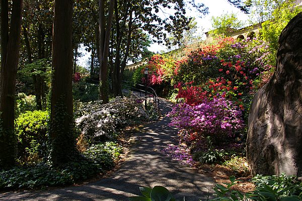Lush Franciscan Monastery Gardens
Garden Design
Calimesa, CA