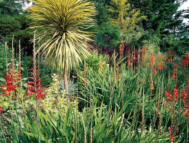 Garden Plants Names And Pictures Uk | Fasci Garden