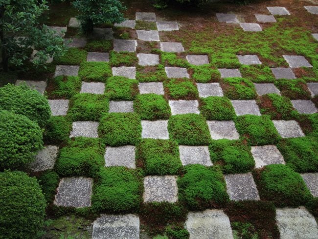 Moss, Modern Zen Garden
Garden Design
Calimesa, CA