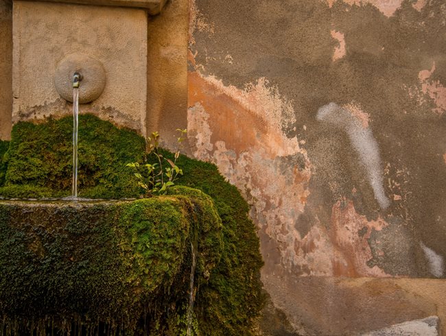 Moss, Wall Fountain
Garden Design
Calimesa, CA