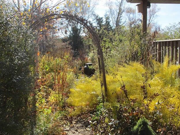 November Garden
Monarch Gardens
Lincoln, NE