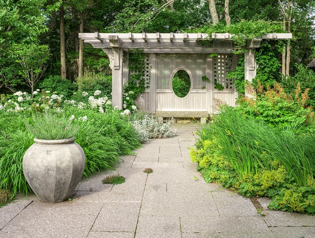 Oak Pergola, Pergola Vines
Oehme, van Sweden & Associates, Inc.
Washington, DC