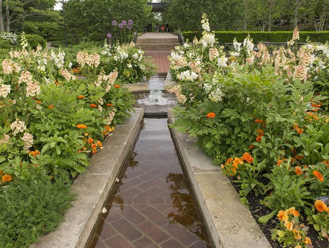 Orange Plants, Buff Plants
Garden Design
Calimesa, CA