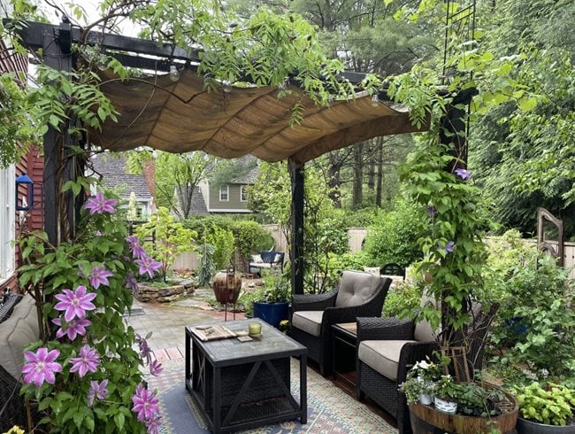Patio Pergola With Vines
Alli Guleria
Washington D.C.,