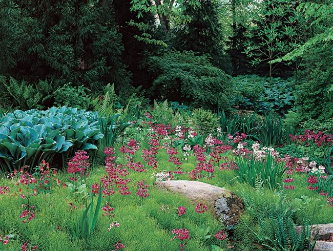 Primrose, Chanticleer, Stream, Hosta
Chanticleer
Wayne, PA