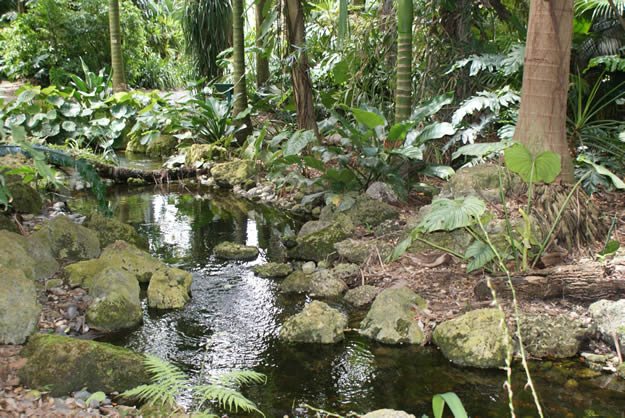 Rainforest Stream
Garden Design
Calimesa, CA