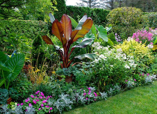 Red Banana Sun Garden
Garden Design
Calimesa, CA