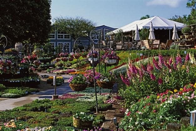 Rogers-Gardens
Garden Design
Calimesa, CA