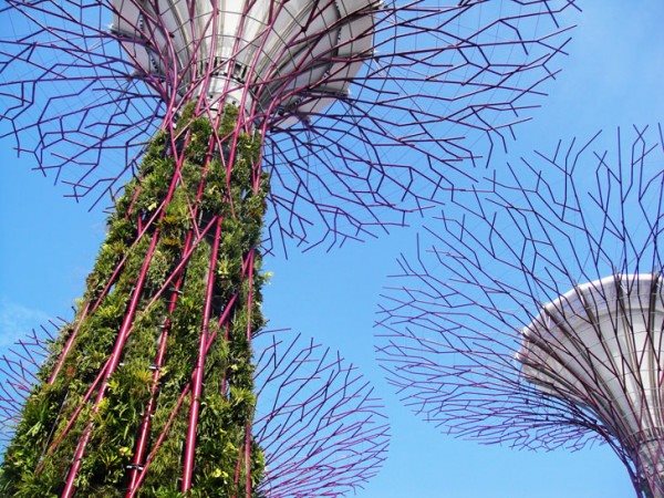 Singapore-Gardens-By-The-Bay-Supertree-Close
Garden Design
Calimesa, CA