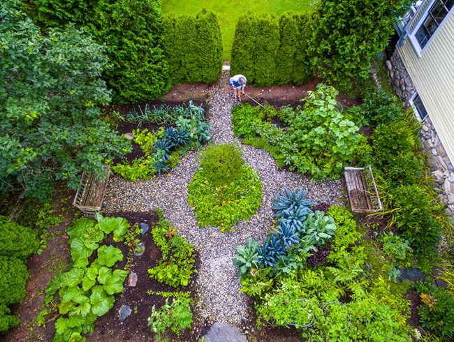 Top Garden Trends for 2019 | Garden Design on Garden Designs 2019
 id=23343