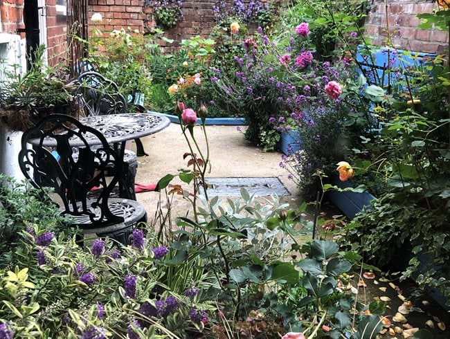 Small Garden With Roses, English Garden, Cottage Garden
Garden Design
Calimesa, CA