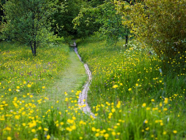 Stone Block Path
Garden Design
Calimesa, CA