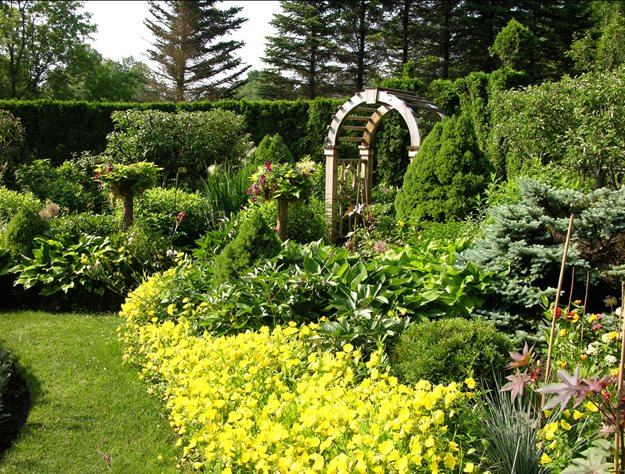 Sundrops In Sun-Garden
Garden Design
Calimesa, CA