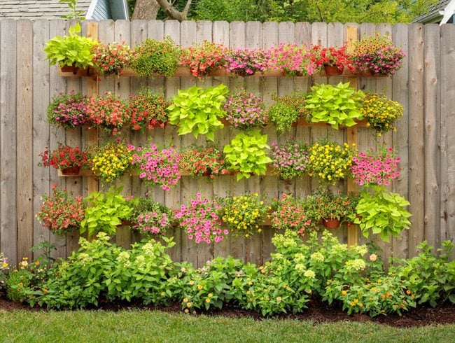 Terra Cotta, Planter Wall
Proven Winners
Sycamore, IL