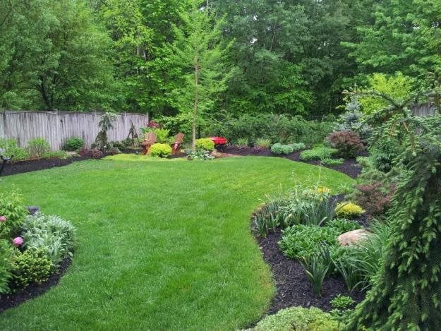 My Garden: Lessons Learned | Garden Design