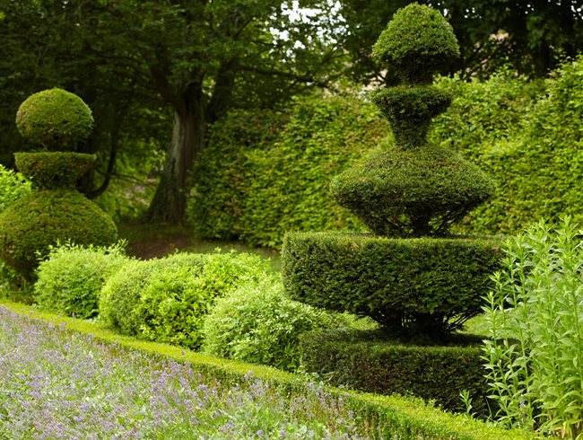 Topiary: Shape Shifters | Garden Design