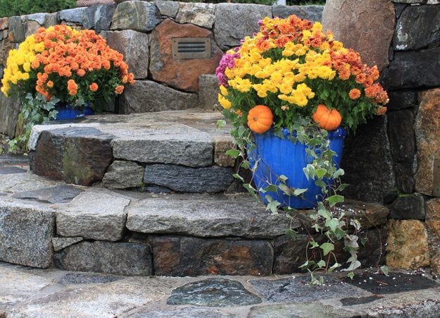 Varying Colors Of Mums In Containers
Garden Design
Calimesa, CA